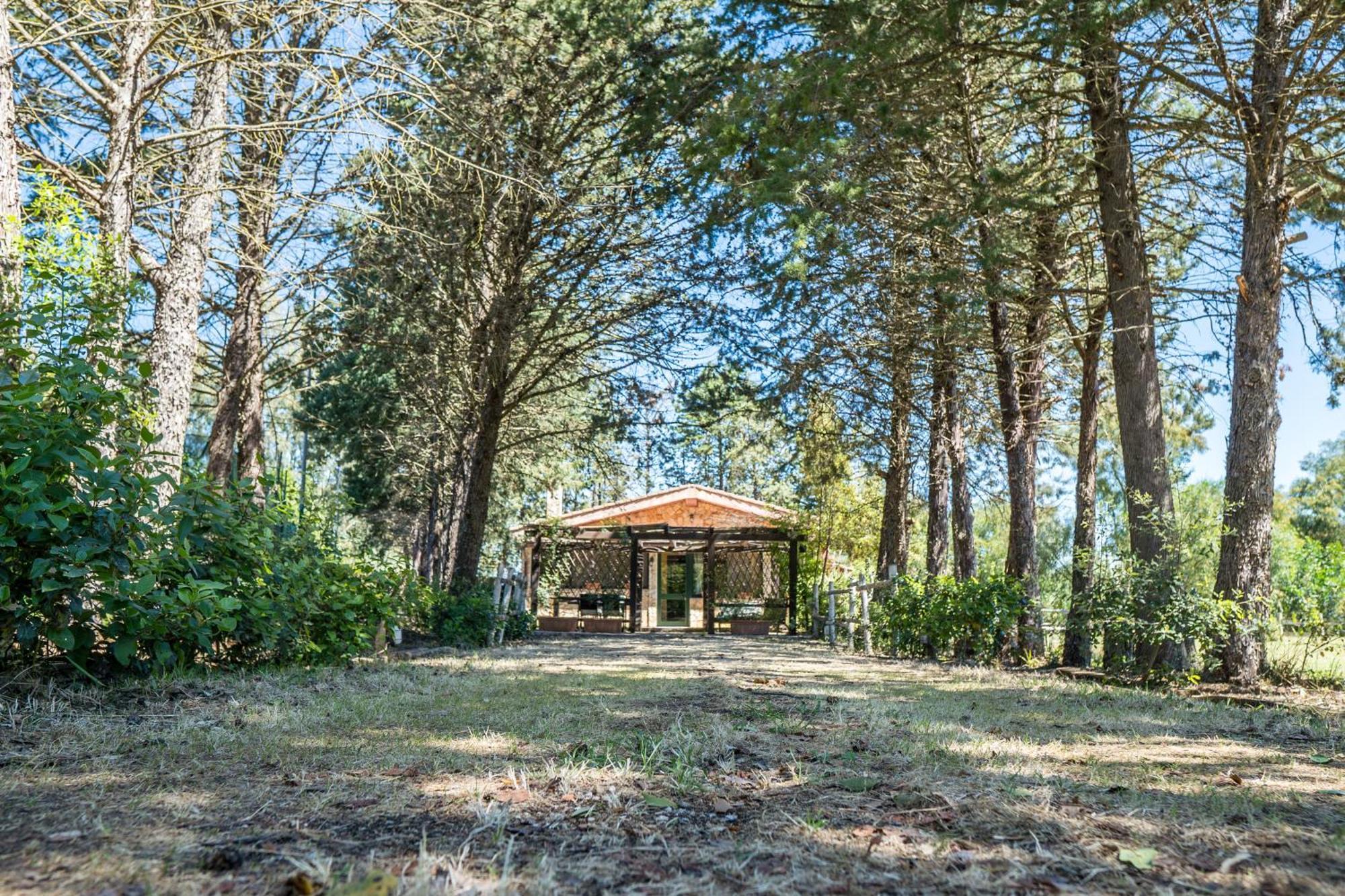 Fattoria Dei Piani Srl Villa Olmedo Exterior photo